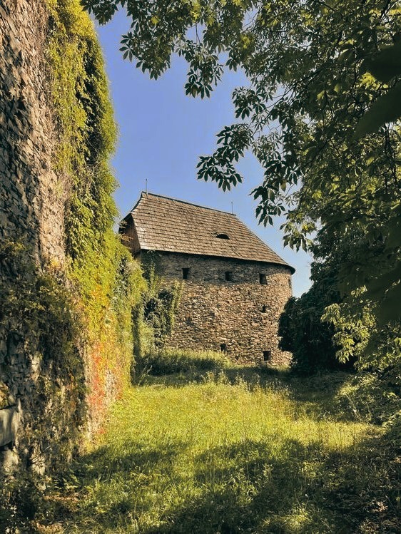 Bašta v parkánu za břečťanem porostlou hradbou